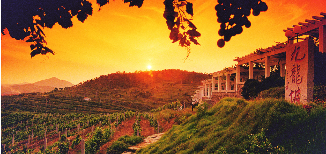酒庄全景,九龙坡,华东·百利酒庄实景