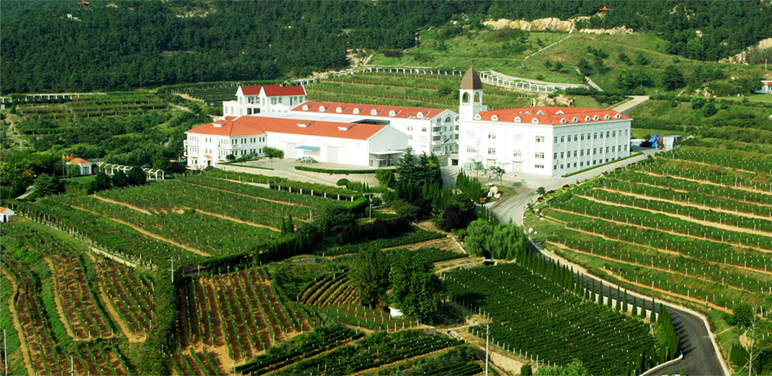酒庄全景,九龙坡,华东·百利酒庄实景